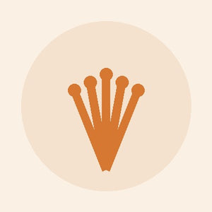 Cordyceps